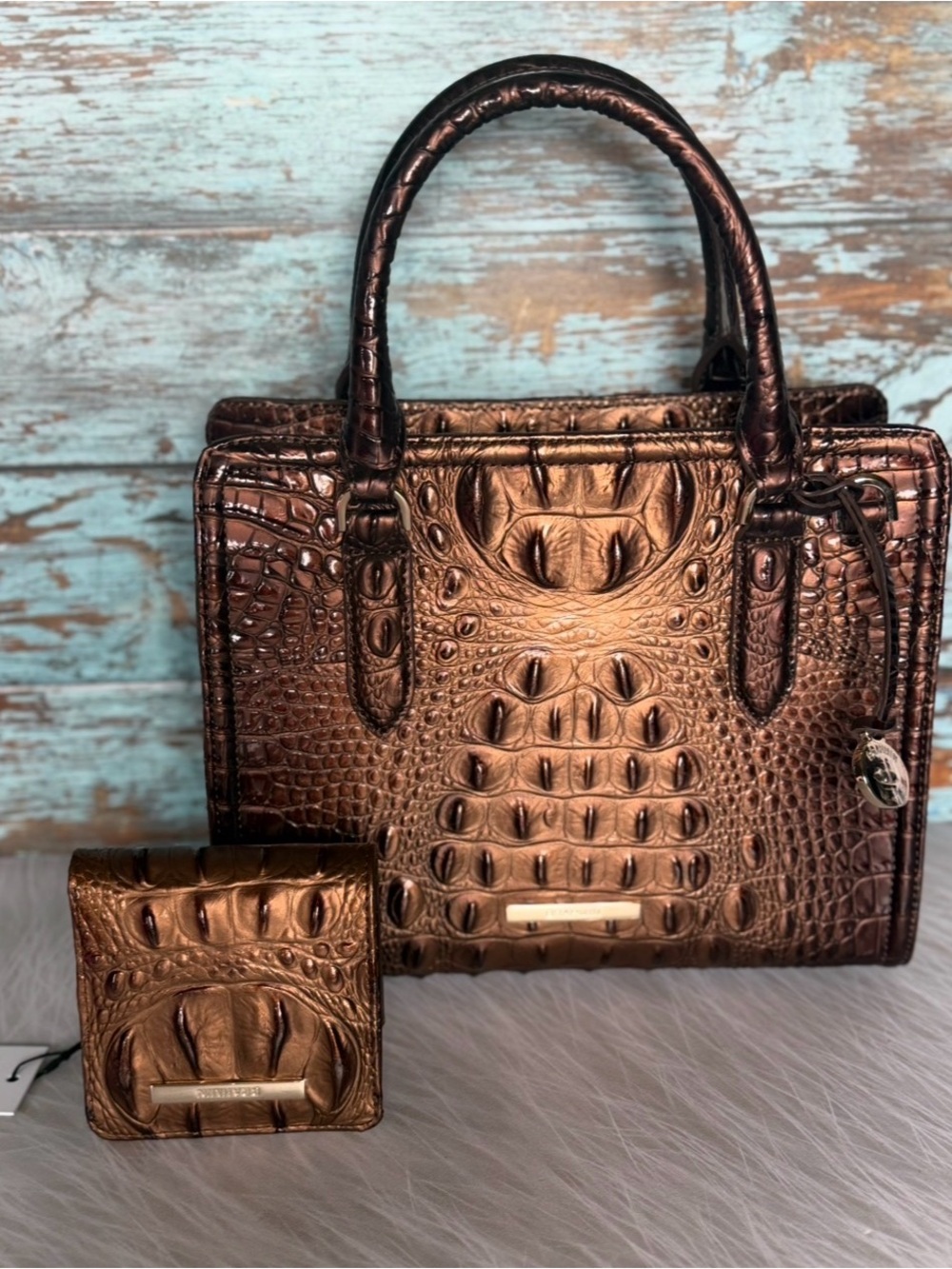 SET ~~~ NWT Brahmin Cami Leather Satchel -Ganache with matching Jane Wallet